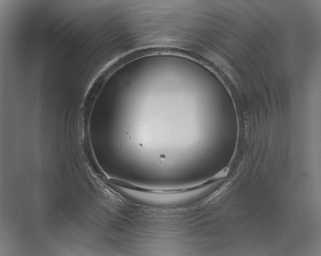 X0000073951069200609051747