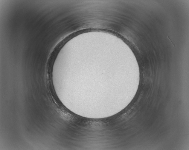 X0000073951070200609051747