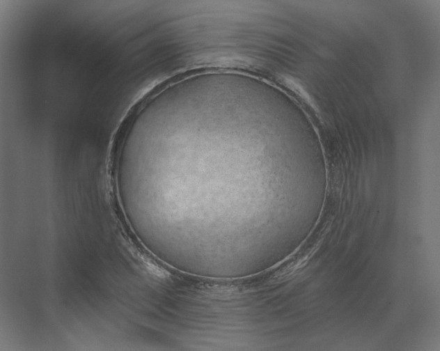 X0000073951071200609051747