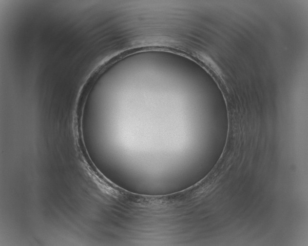 X0000073951072200609051747