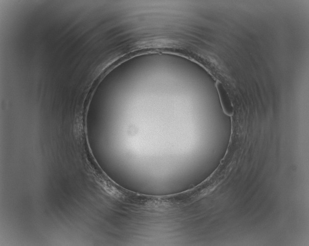 X0000073951073200609051747