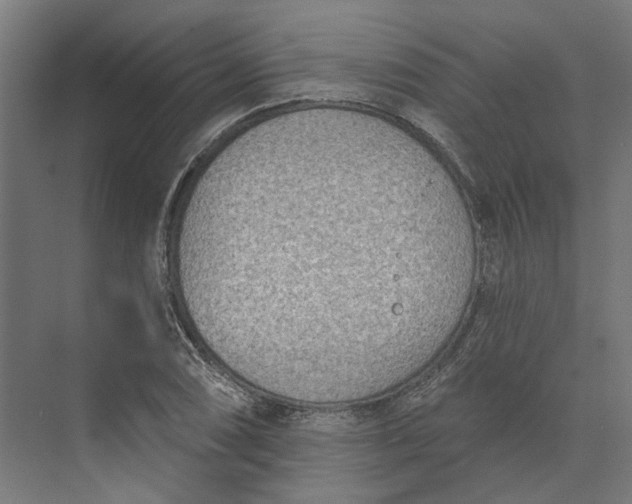 X0000073951074200609051747