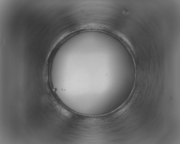 X0000073951075200609051747