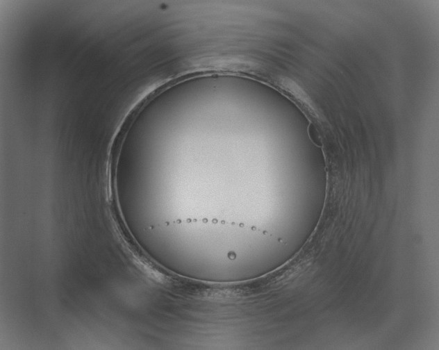 X0000073951079200609051747