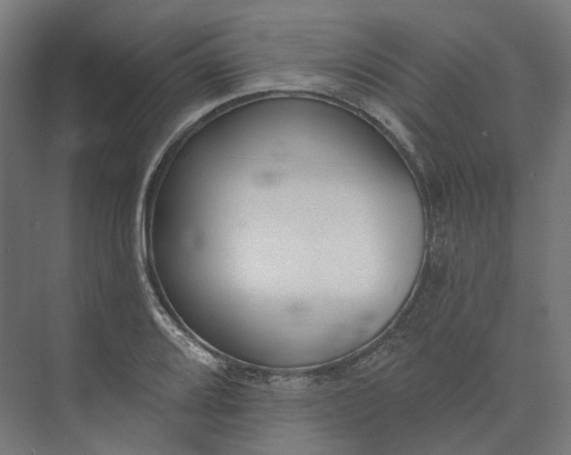 X0000073951080200609051747