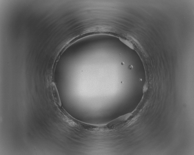 X0000073951081200609051746