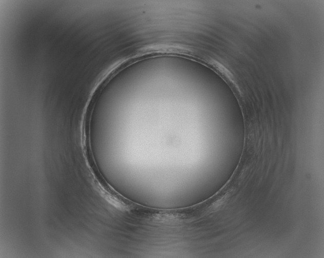 X0000073951082200609051746