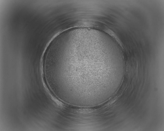 X0000073951083200609051746