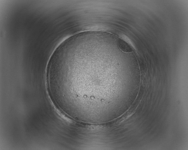 X0000073951087200609051746