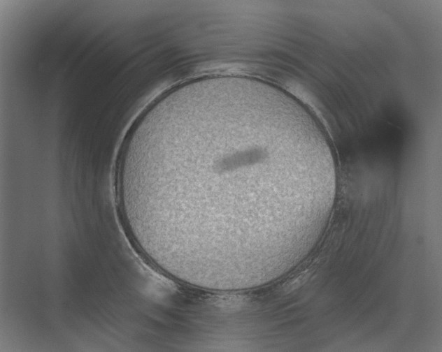 X0000073951090200609051746