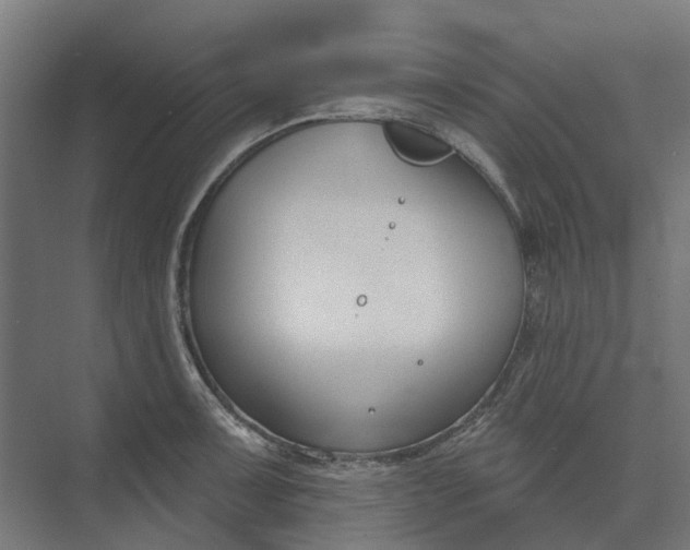 X0000073951091200609051746