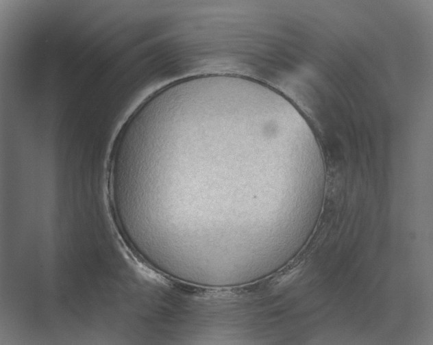 X0000073951094200609051746