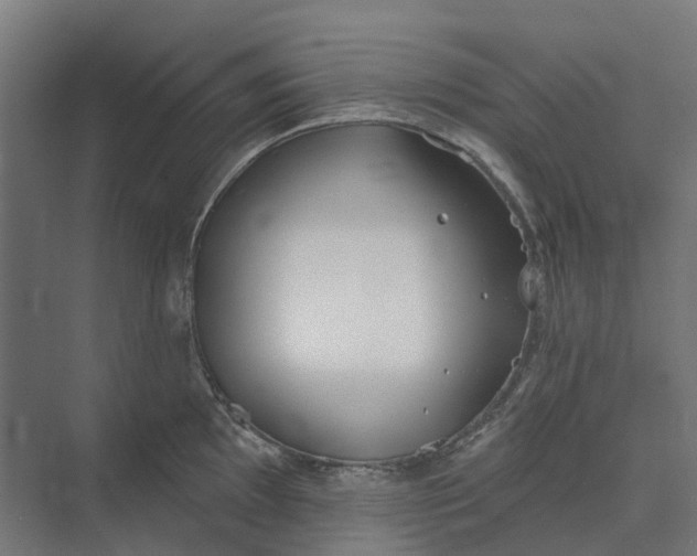 X0000073951097200609051746