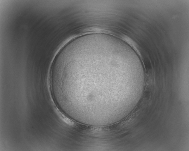 X0000073951098200609051746