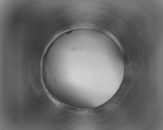 X0000073951099200609051746