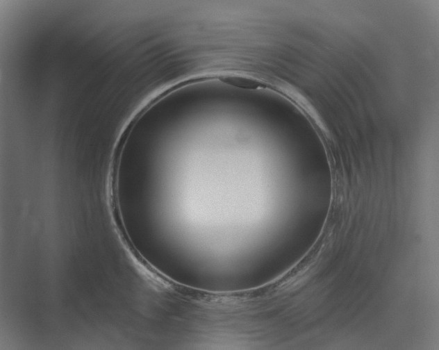 X0000073951101200609051746