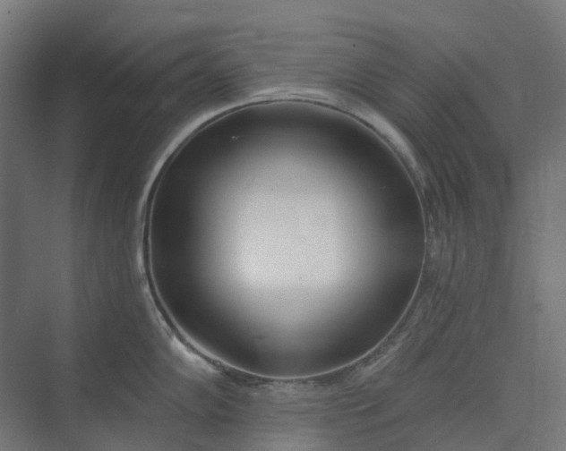 X0000073951102200609051746