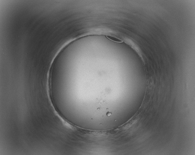 X0000073951103200609051746