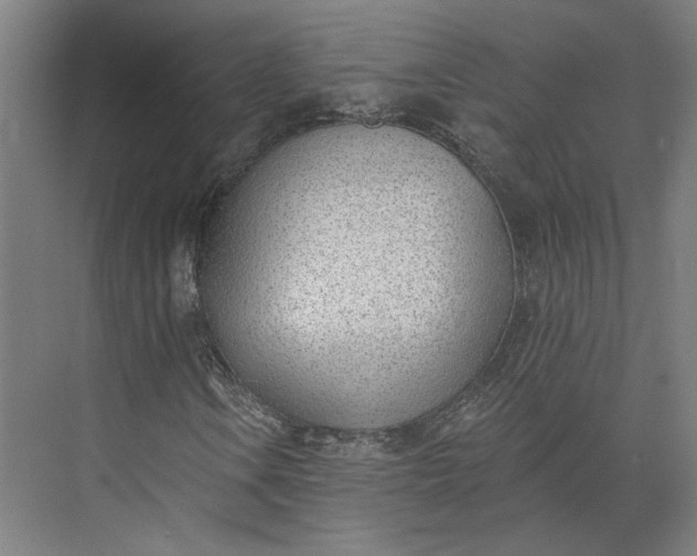 X0000073951106200609051745