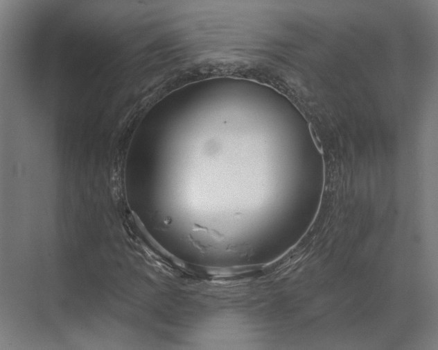 X0000073951109200609051745