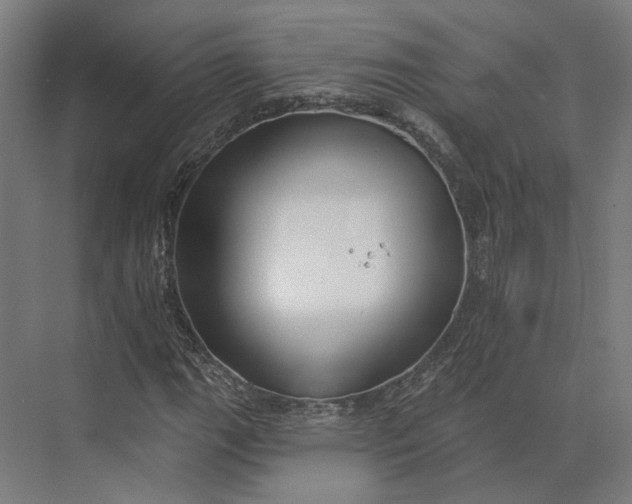 X0000073951111200609051745