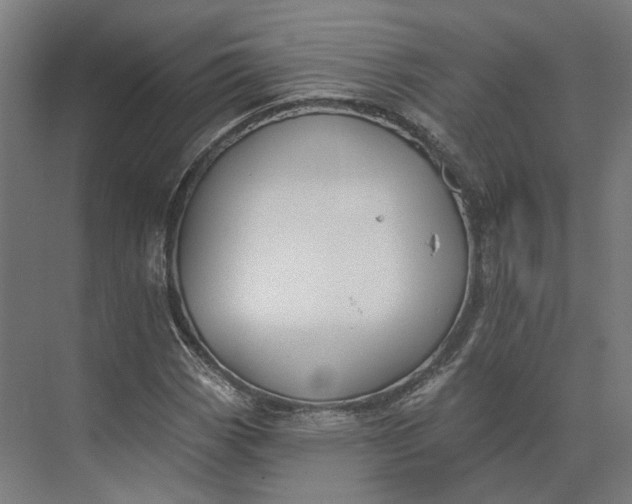 X0000073951113200609051745