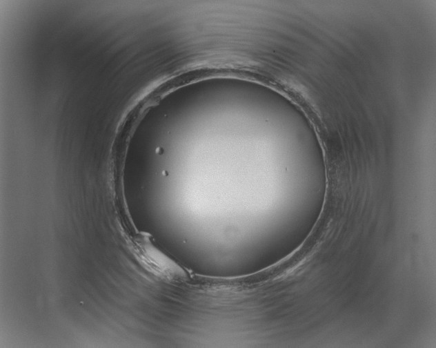 X0000073951114200609051745