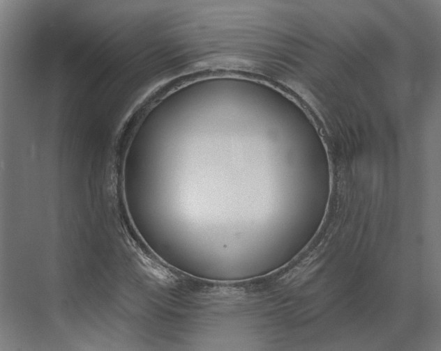 X0000073951115200609051745