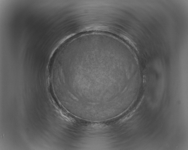 X0000073951117200609051745