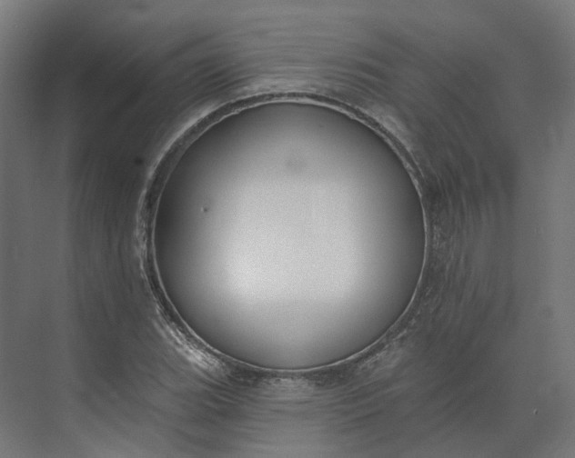 X0000073951119200609051746