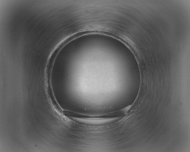 X0000073951120200609051746