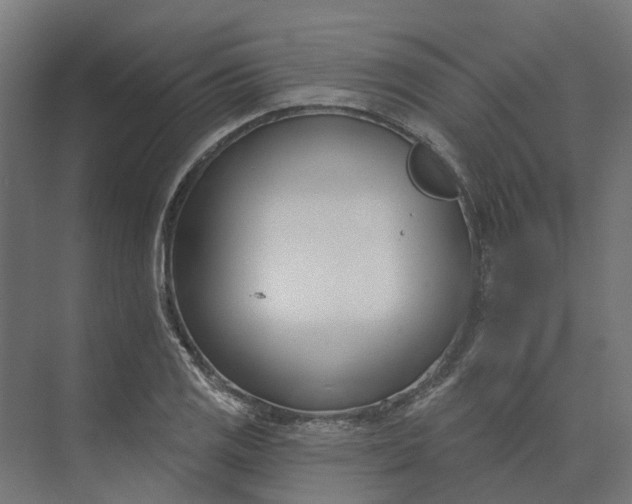 X0000073951125200609051746