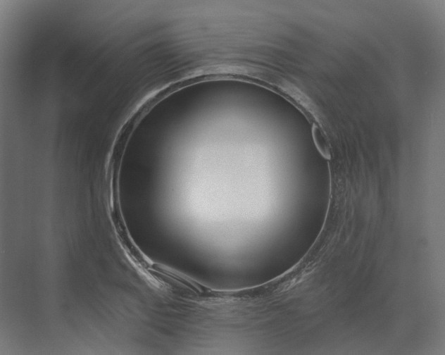 X0000073951127200609051746