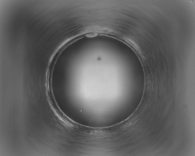 X0000073951128200609051746