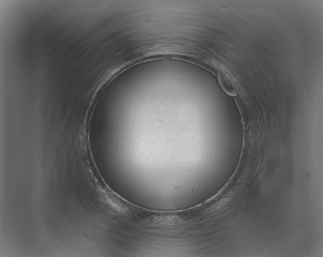 X0000073951129200609051746