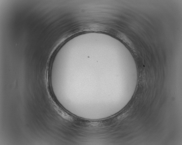 X0000073951130200609051746