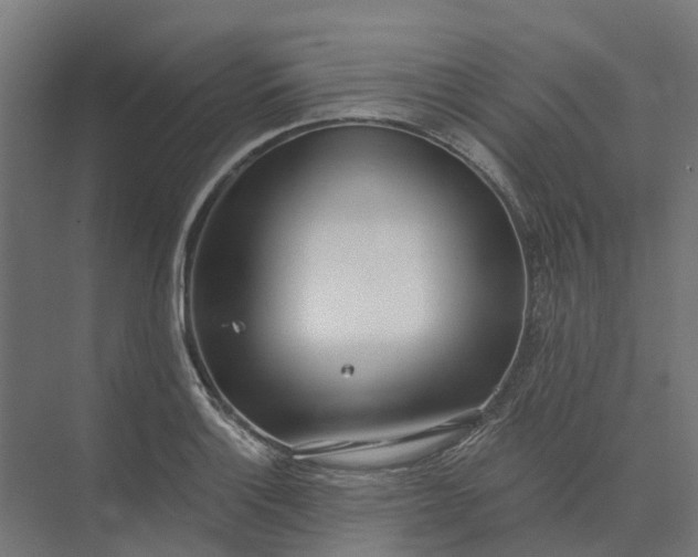 X0000073951132200609051746