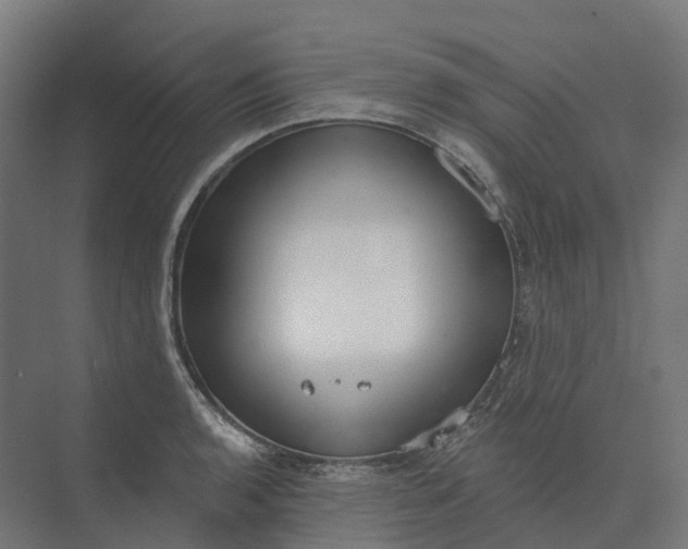 X0000073951136200609051746