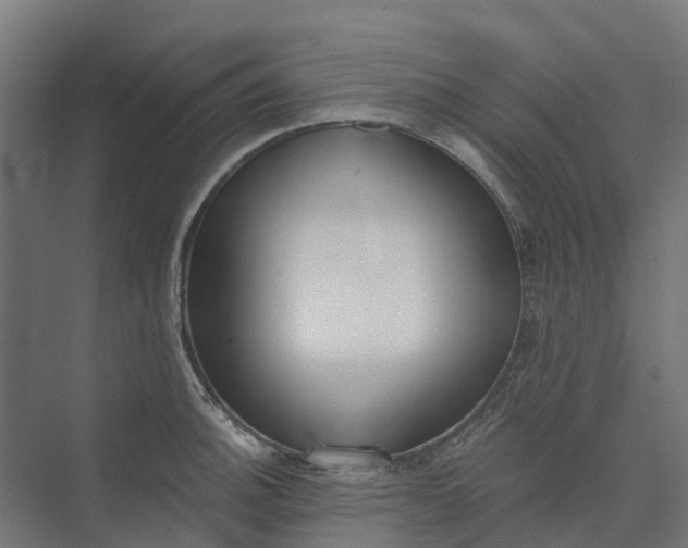 X0000073951140200609051746