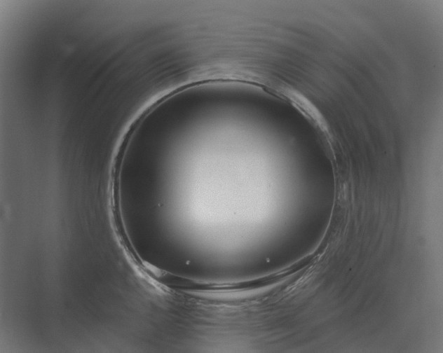 X0000073951144200609051746