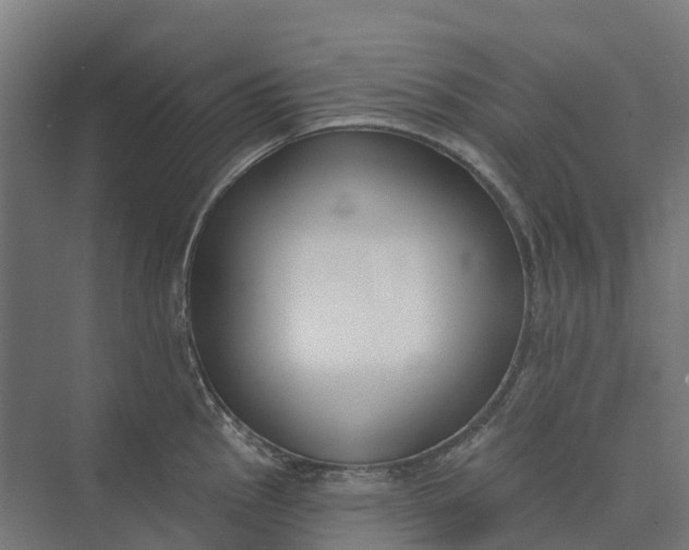 X0000073951145200609051746