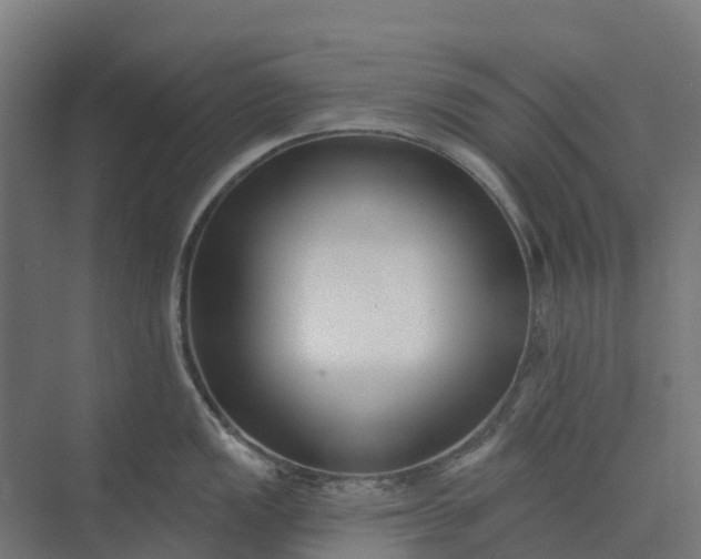 X0000073951149200609051746