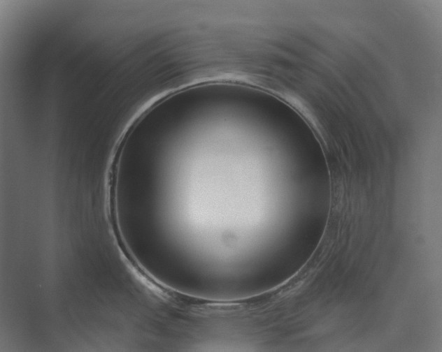 X0000073951151200609051746