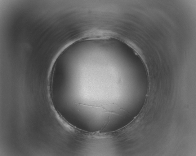 X0000073951152200609051746