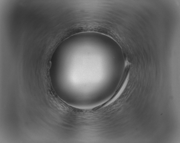 X0000073951153200609051745