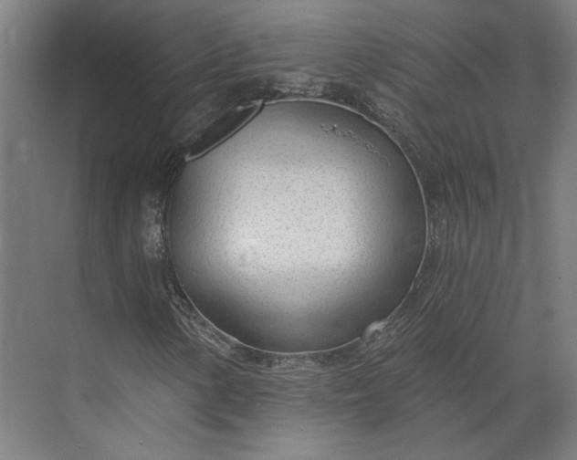 X0000073951154200609051745