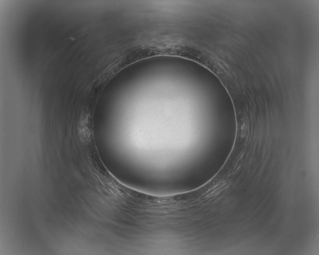 X0000073951156200609051745