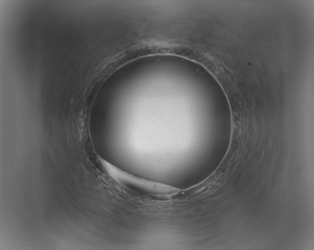 X0000073951157200609051745