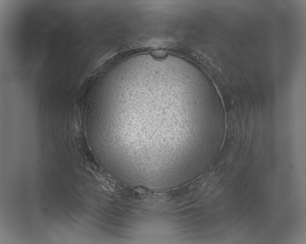 X0000073951158200609051745