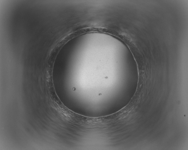 X0000073951159200609051745